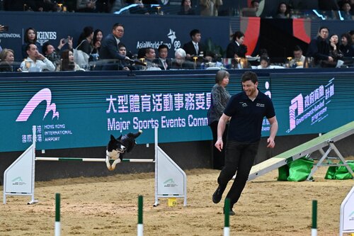 Jumping for joy! The Longines Hong Kong International Horse Show 2026 (Jan 30-Feb 1) returned to AsiaWorld-Expo, showcasing world-class FEI 5* show jumping, the Shetland Pony Grand National and dog agility, further elevating Hong Kong's profile in the global equestrian arena. https://t.co/6qXyKbllnc