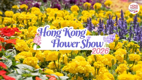 Glorious blossoms in full bloom!💐✨ The Hong Kong Flower Show 2026 (Mar 20-29) is captivating visitors to Victoria Park, with about 400,000 flowers on display.🌷 Under the enchanting theme “A Fragrant Journey through Hong Kong”, this year's show celebrates spring with the elegant stock (genus Matthiola) as the theme flower, delighting visitors with its sweet scent and vivid hues. Explore stunning landscape displays inspired by Hong Kong’s local charm, where colourful blossoms and creative designs depict some of the city’s most iconic attractions. Be sure to visit our Brand Hong Kong floral wall, your perfect backdrop for a springtime selfie!📸🌟 https://www.hkflowershow.hk/en/hkfs/2026/index.html  繁花盛放，春意盎然！💐✨2026年香港花卉展覽（3月20至29 日）於維多利亞公園舉行，展出約40萬株花卉，吸引大批市民和旅客到場欣賞。🌷今年花展以「花語尋『香』——細味城市特色」為主題，並以馥郁芬芳與色彩繽紛的紫羅蘭為主題花，為春日增添醉人魅力。場內多個大型園林造景更融入香港本土特色，以色彩斑斕的花卉和巧妙的設計生動呈現本港多個標誌性景點，讓訪客在賞花之餘，亦能感受香港獨有的城市風貌。大家記得到香港品牌的主題花牆打卡留念！📸🌟 https://www.hkflowershow.hk/tc/hkfs/2026/index.html  #hongkong #brandhongkong #asiasworldcity #megaevents #megaHK #flowershow2026 #stock #香港 #香港品牌 #亞洲國際都會 #藝術與文化 #盛事之都 #盛事香港 #花展2026 #紫羅蘭