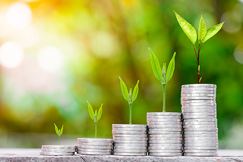Centre for Green and Sustainable Finance set up to advance green finance strategy