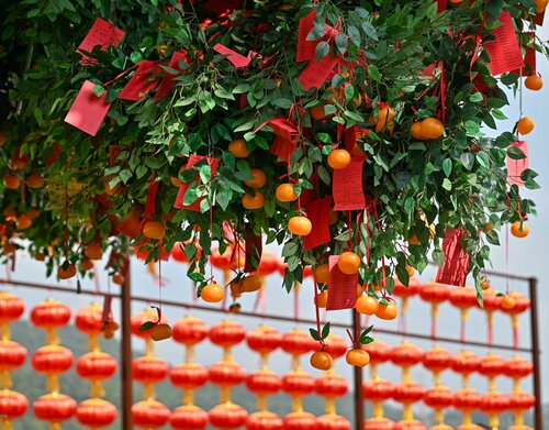 Have you made your Chinese New Year wish yet? The Hong Kong Well-wishing Festival is underway at Lam Tsuen Wishing Square in Tai Po until the 15th day of the Lunar New Year (Mar 3). Join locals and visitors in this time-honoured tradition of hanging wishes on the wishing tree, https://t.co/efRgkssRmF
