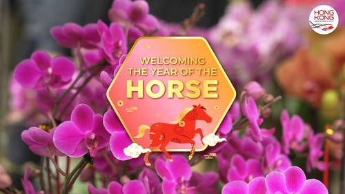 🐎Prepare to enter the Year of the Horse next Tuesday (Feb 17)! See how Hong Kong is gearing up to welcome the Lunar New Year with festive displays and traditions to ensure a happy, healthy and prosperous year ahead.🧧 From flower markets and handcrafted lanterns🏮 to the lively Lunar New Year Fair at Victoria Park, these cherished customs highlight the city’s festive spirit.🌟 Take a look:   🐎馬年將至（2月17日），一起看看香港如何以繽紛節慶佈置與傳統習俗迎新歲，祝願來年喜樂安康。🧧花墟、綵燈會🏮、維多利亞公園的年宵市場和各種賀歲習俗，充分展現出城市濃厚的節日氣氛。🌟  #hongkong #brandhongkong #asiasworldcity #YearofTheHorse #CNY #香港 #香港品牌 #亞洲國際都會 #節慶 #馬年 #農曆新年
