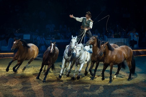 What a magical ride!🐎✨ Europe's most celebrated equestrian spectacle, "CAVALLUNA – Gate to the Otherworld", made its stunning Asian debut at Hong Kong’s Kai Tak Arena (Sep 8 & 10-13). Over 50 magnificent European horses🐴 joined world-class riders, performers, dancers, and acrobats for an enchanting journey of horsemanship, music, dance and theatre. From breathtaking high-speed stunts⚡💨 to entertaining comical elements, spectators showed their appreciation with gasps of excitement, cheers and rounds of applause at every moment of this unforgettable show👏, a highlight event of the Hong Kong Jockey Club’s Year of the Horse campaign!🌟  一場奇幻的旅程！🐎✨歐洲備受矚目的馬術劇場《CAVALLUNA 月影神駒——馬術 X劇場 穿梭異境》亞洲首演於啟德體藝館圓滿落幕（9月8、10–13日）。超過50匹來自歐洲的駿馬🐴，聯同頂尖騎師、表演者、舞蹈員及特技人，為觀眾帶來一場融合馬術、音樂、舞蹈與戲劇的夢幻旅程。從驚心動魄的高速特技⚡💨到逗趣環節，觀眾以驚嘆、歡呼和熱烈掌聲回應每個難忘瞬間👏——這更是香港賽馬會馬年系列活動的焦點盛事！🌟  #hongkong #hk #brandhongkong #asiasworldcity #megaevents #megaHK #dynamic #cavalluna #香港 #香港品牌 #亞洲國際都會 #盛事之都 #盛事香港 #活力澎湃 #cavalluna