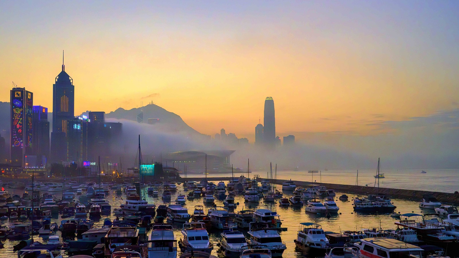 Foggy fantasia at Victoria Harbour (2024)
