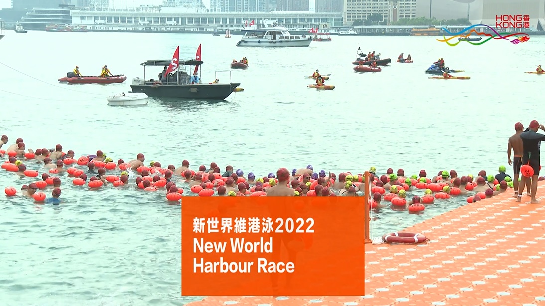 Harbour Race: 1,200+ Swimmers Make A 'Happy Splash'