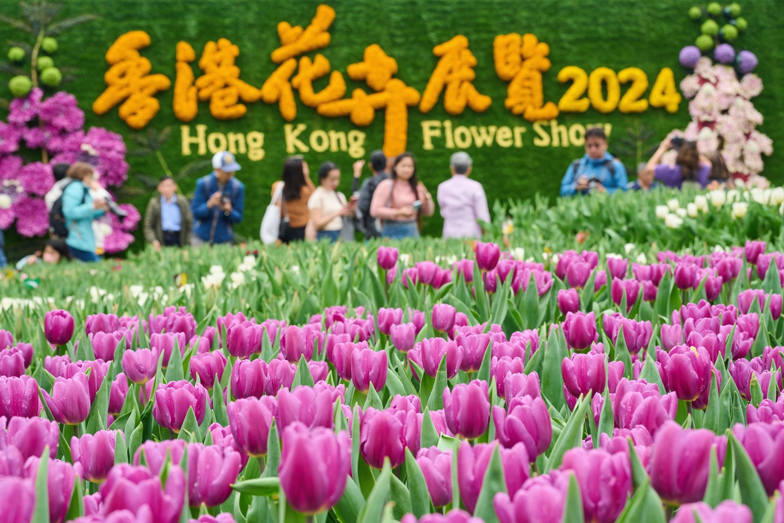 香港花卉展覽 (2024)