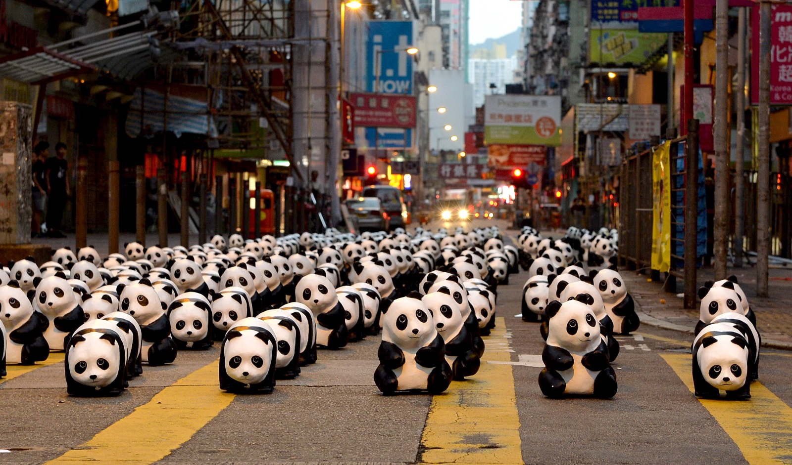1600隻紙糊熊貓於旺角「快閃」展出 。(2014)