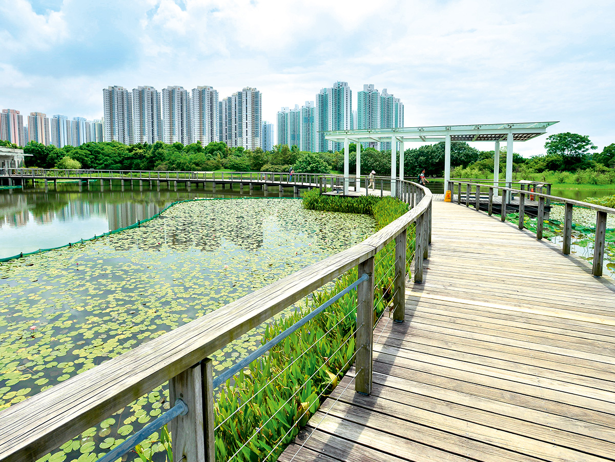 Wetland Park