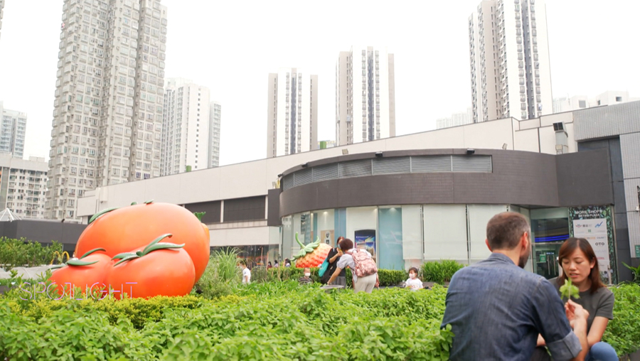 euronews: Hong Kong's start-up ecosystem goes sky-high